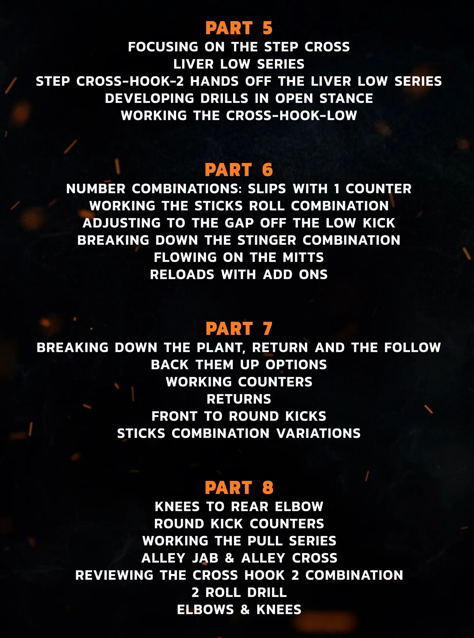 Bang Muay Thai Ninja Academy: Intermediate - Year Two by Duane Ludwig
