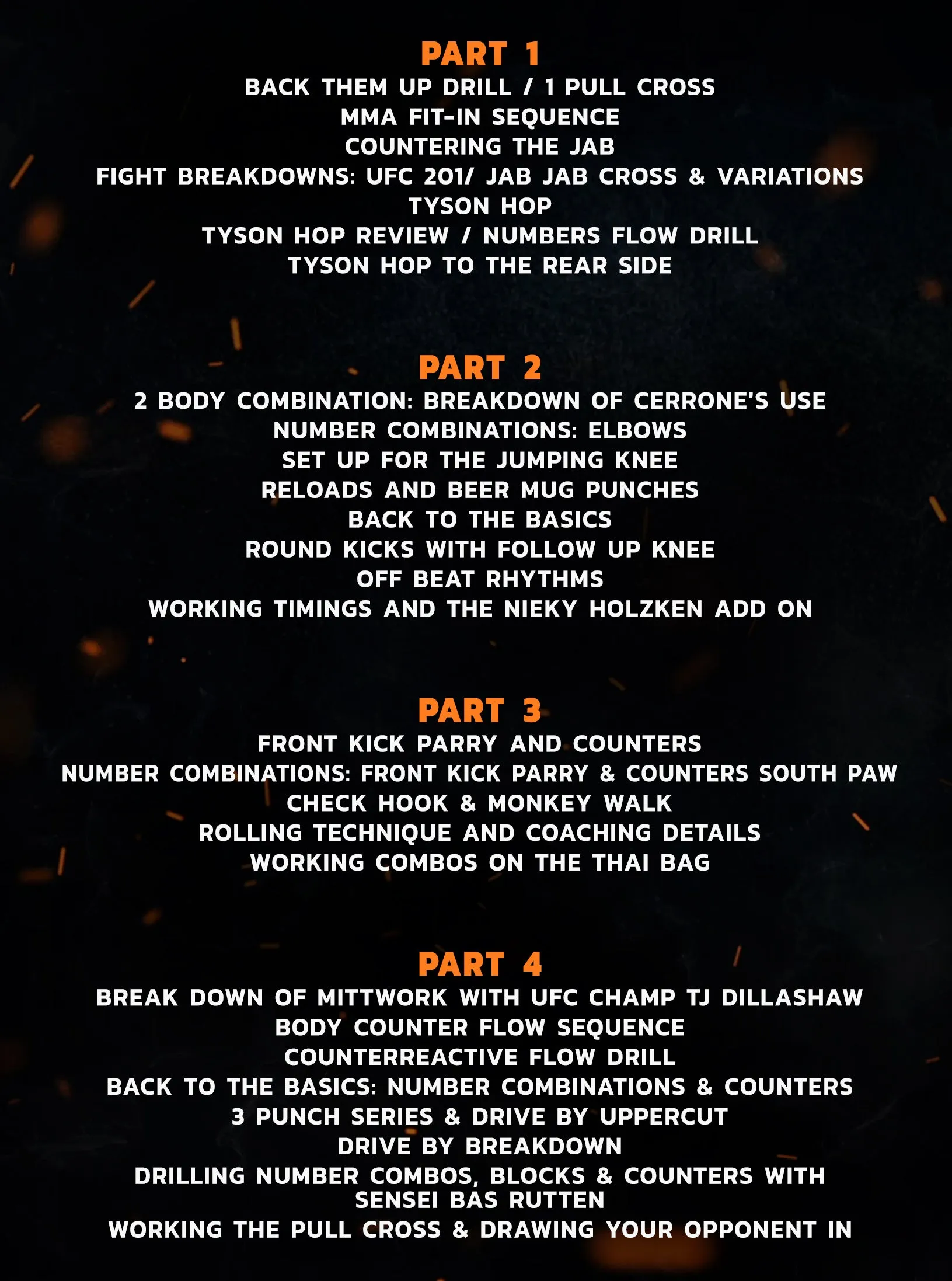 Bang Muay Thai Ninja Academy: Intermediate - Year Two by Duane Ludwig