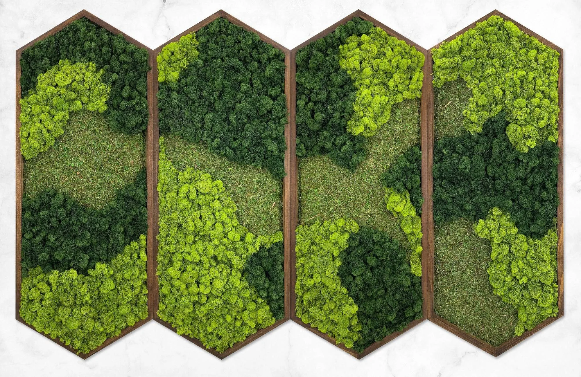 Extended Hexagon Moss Art