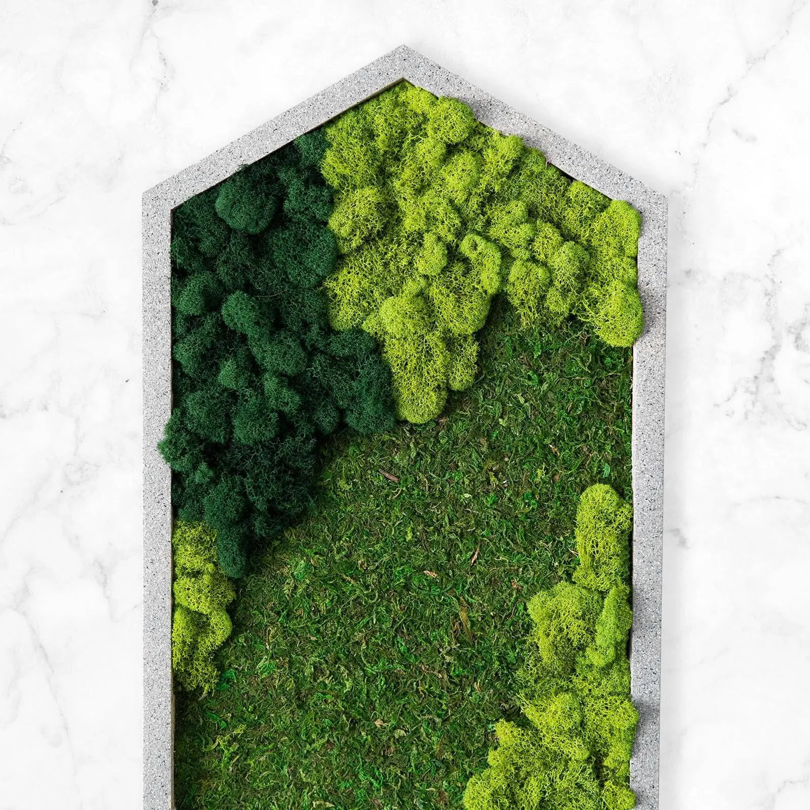 Extended Hexagon Moss Art