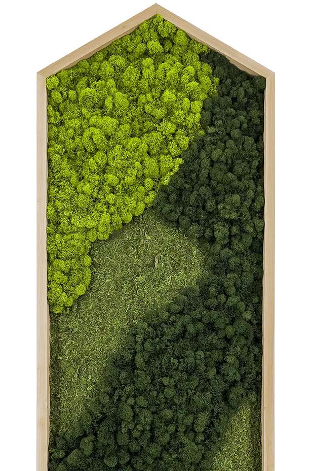 Extended Hexagon Moss Art