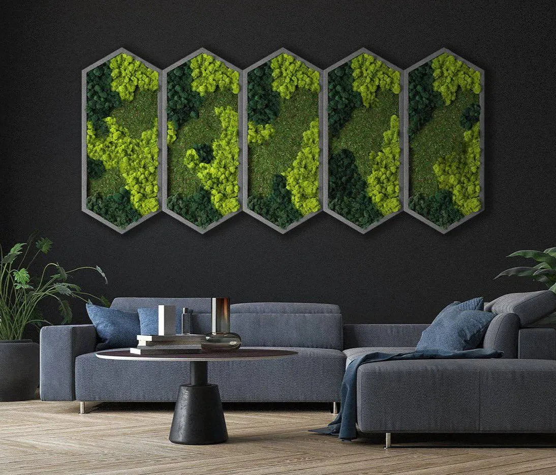 Extended Hexagon Moss Art