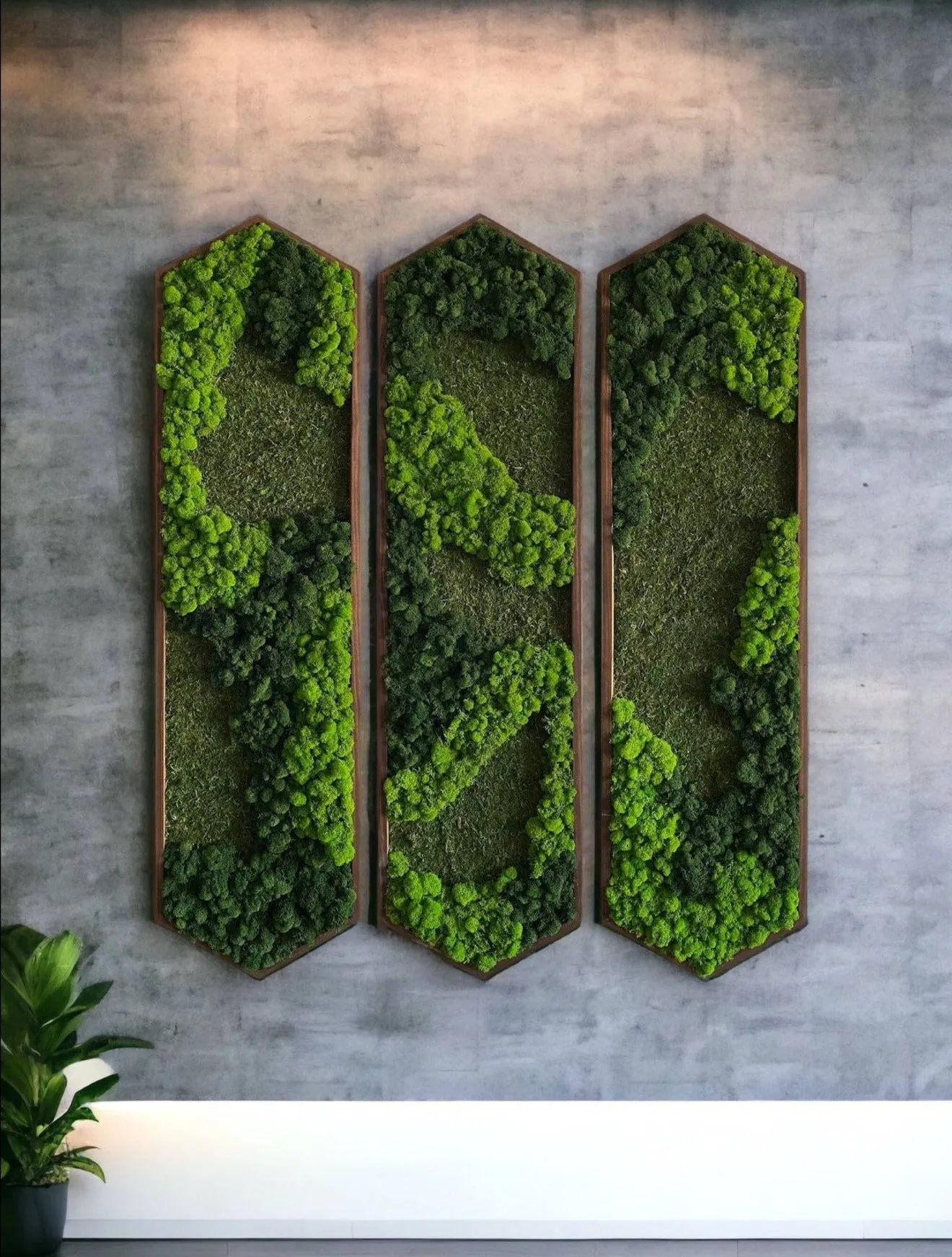 Extended Hexagon Moss Art
