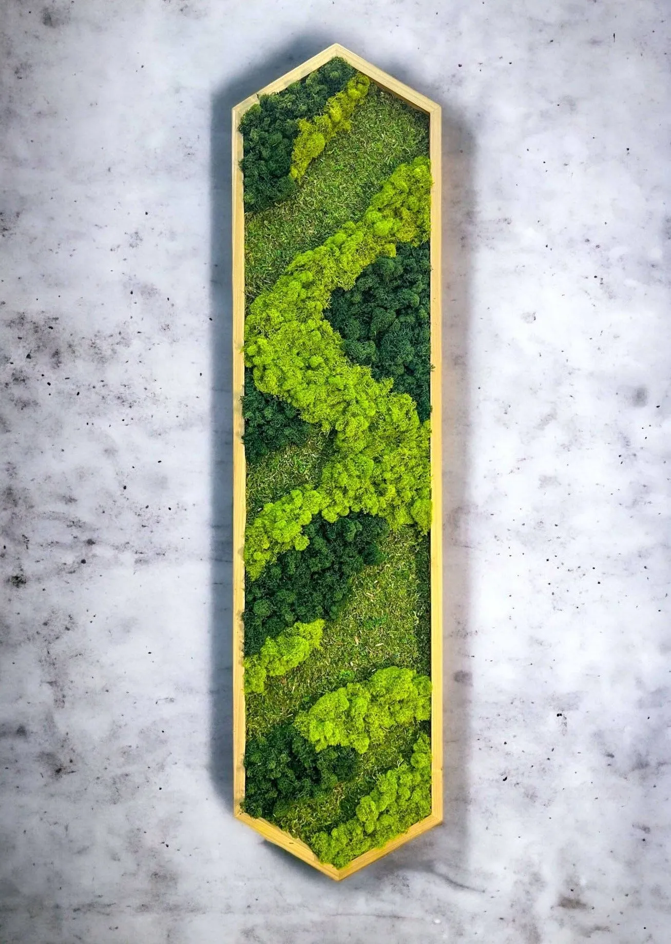 Extended Hexagon Moss Art