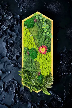 Floral Extended Hexagon Moss Art