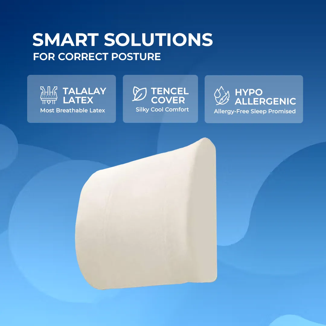Thomsen Lumbar Pillow